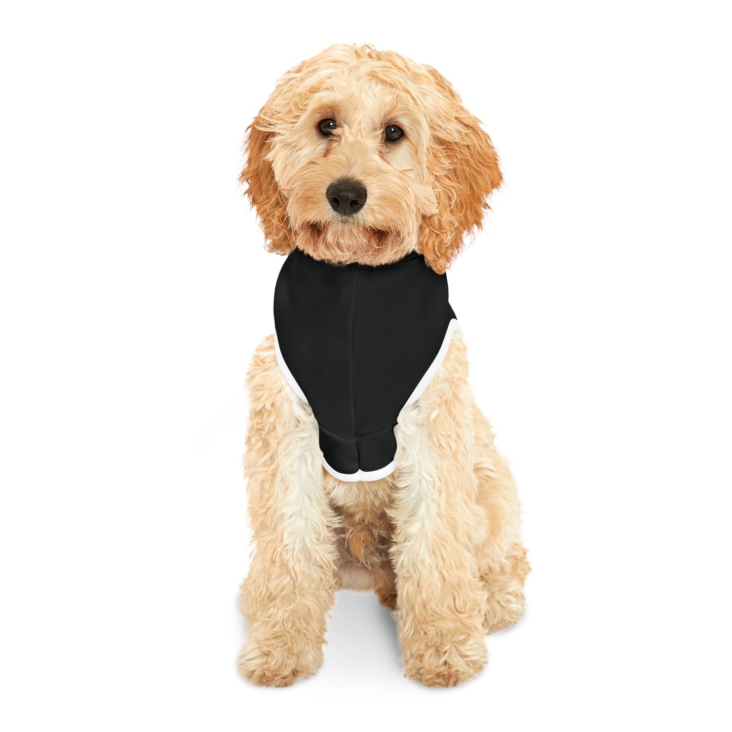 Pet Hoodie - "Security"