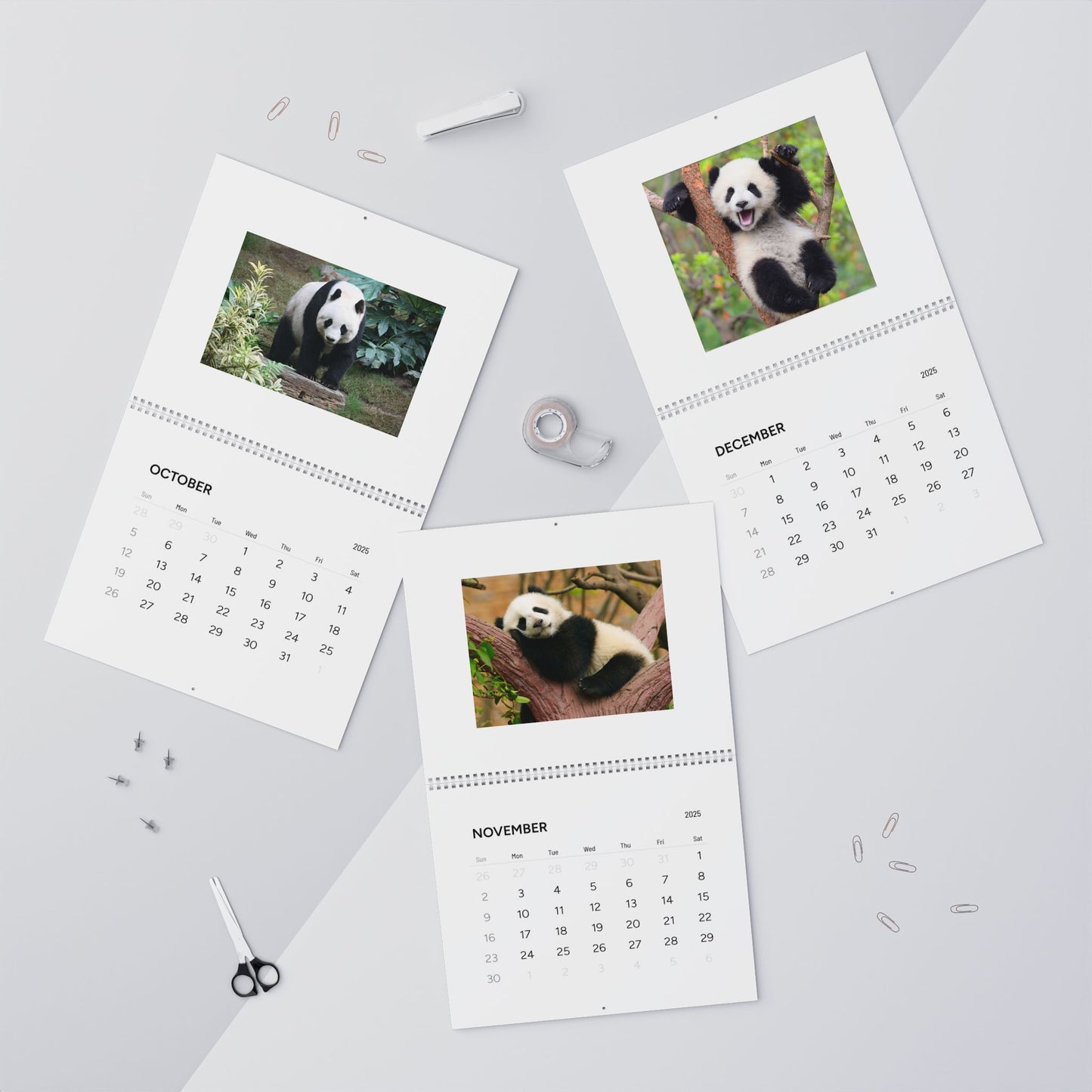 Panda Wall Calendar 2025