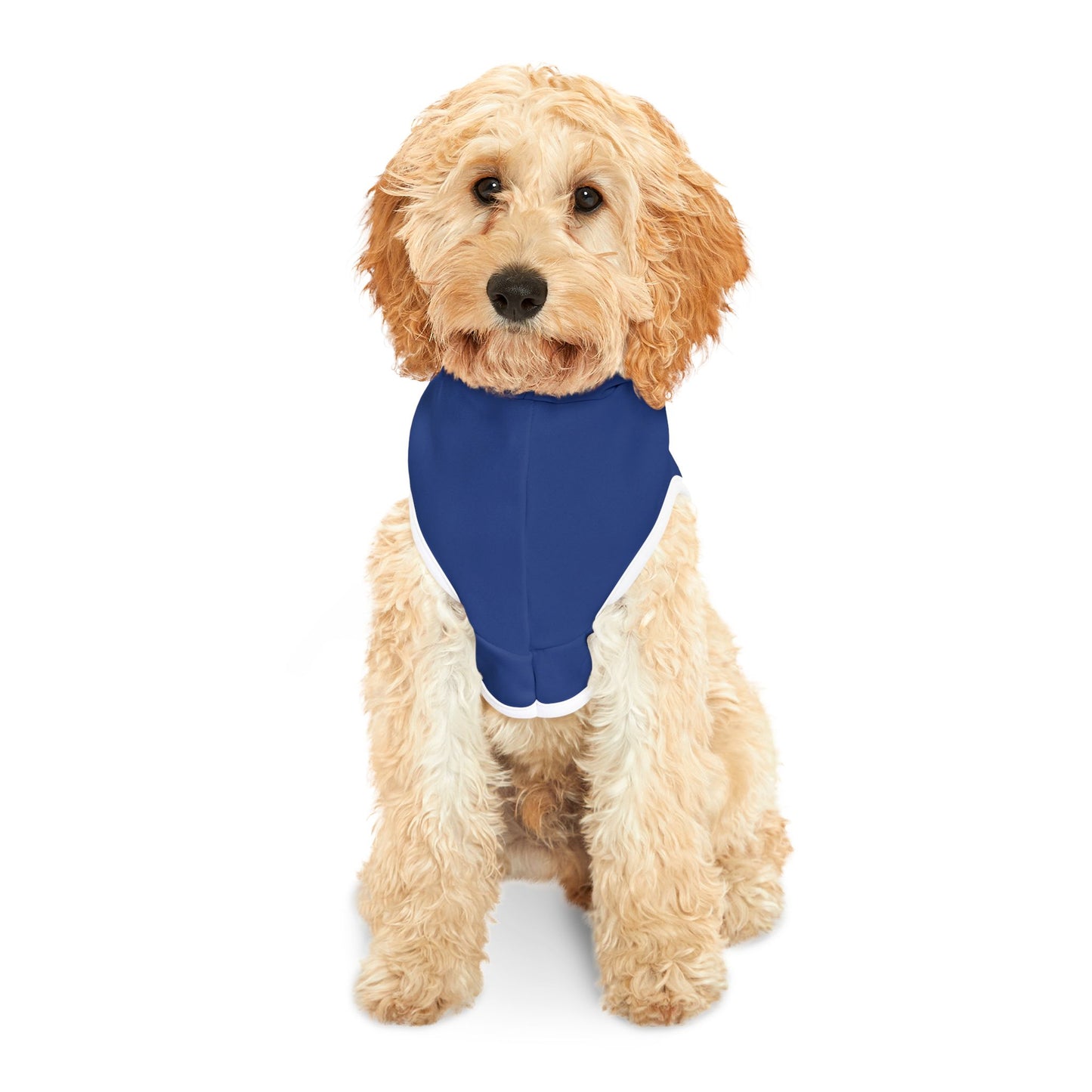 Pet Hoodie - "Security"