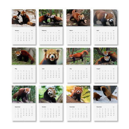 Wall Calendar Red Panda 2025