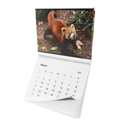 Wall Calendar Red Panda 2025