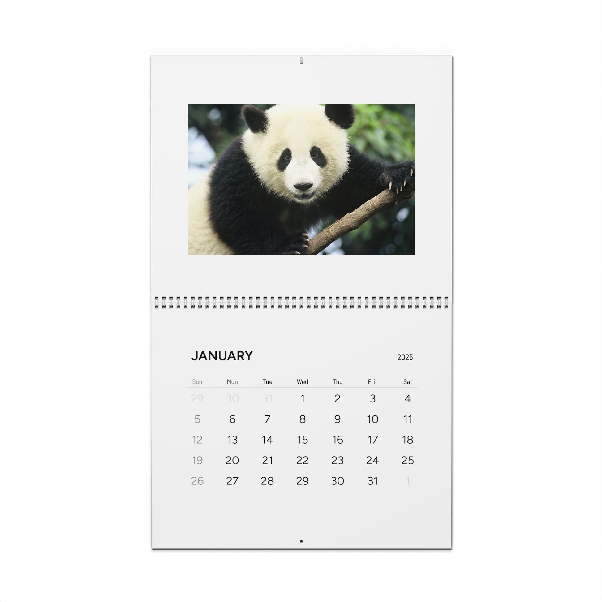 Panda Wall Calendar 2025
