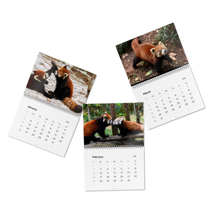 Wall Calendar Red Panda 2025