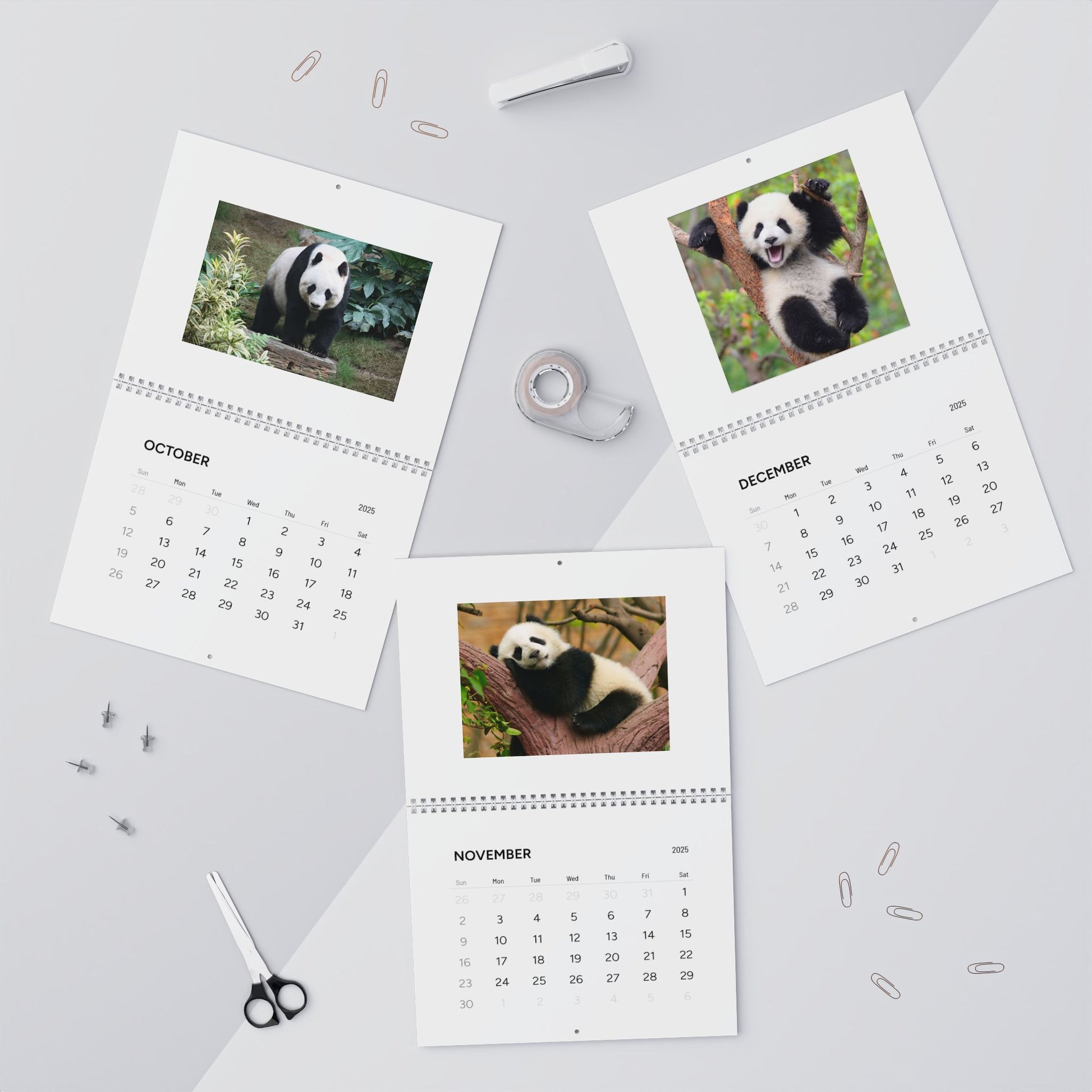 Panda Wall Calendar 2025