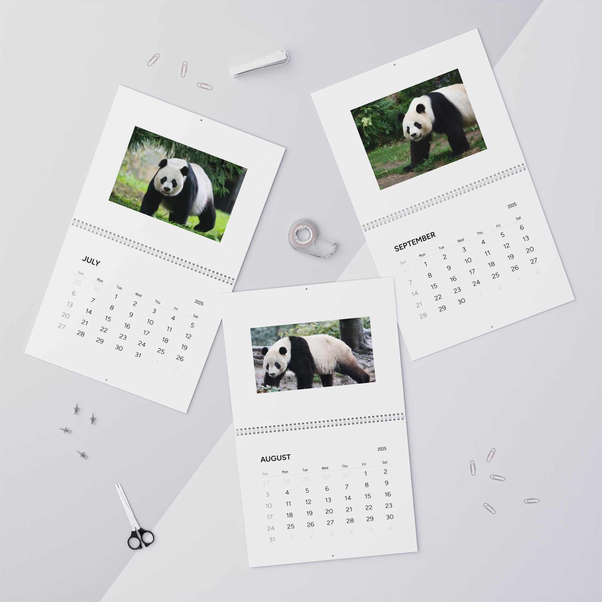 Panda Wall Calendar 2025