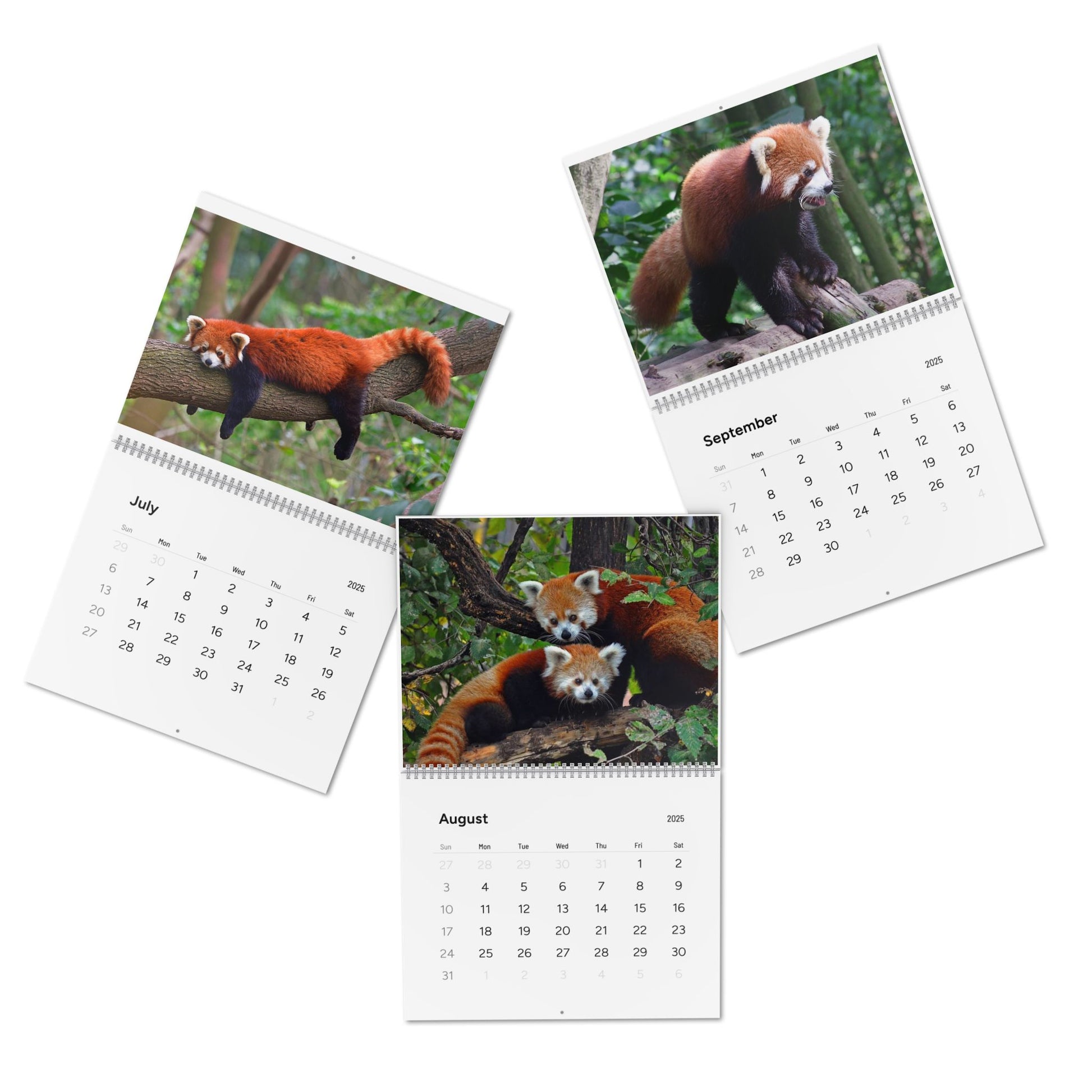 Wall Calendar Red Panda 2025