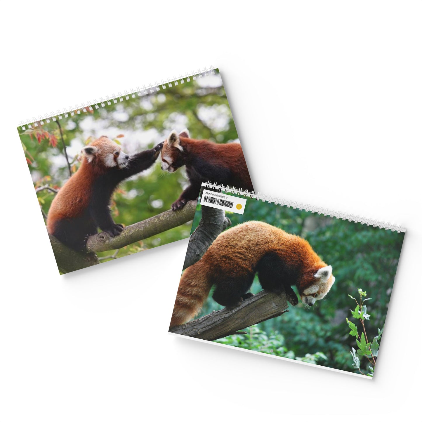 Wall Calendar Red Panda 2025