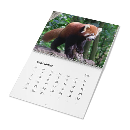 Wall Calendar Red Panda 2025