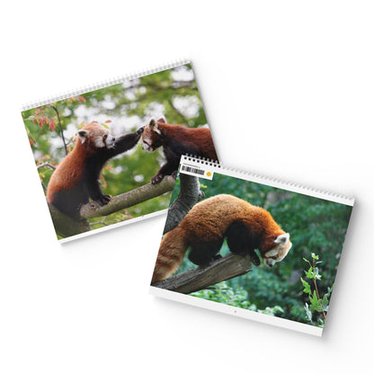 Wall Calendar Red Panda 2025