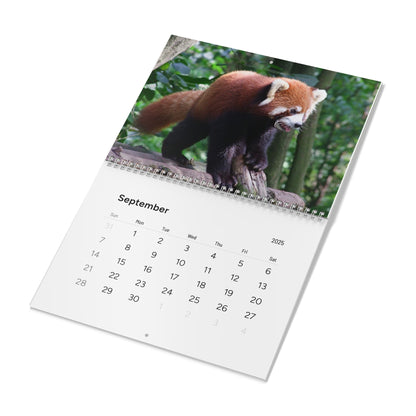 Wall Calendar Red Panda 2025