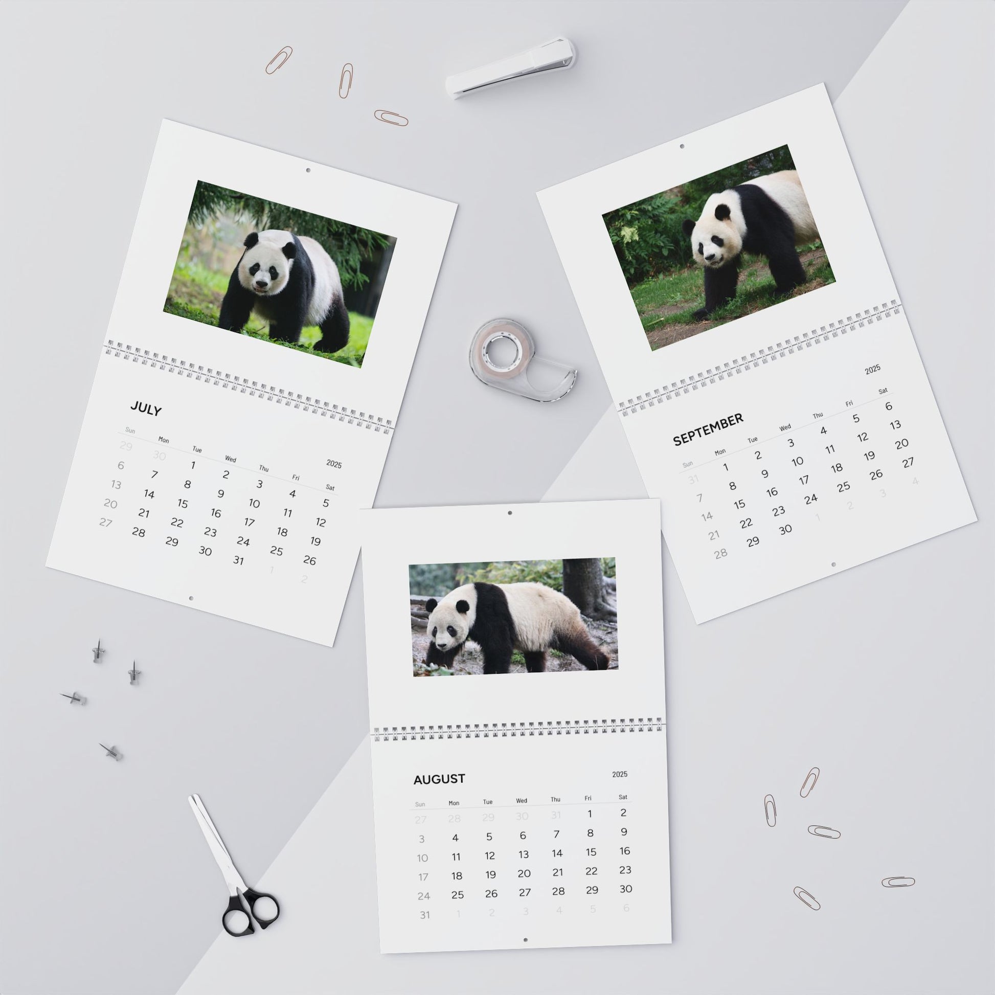 Panda Wall Calendar 2025