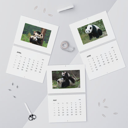 Panda Wall Calendar 2025