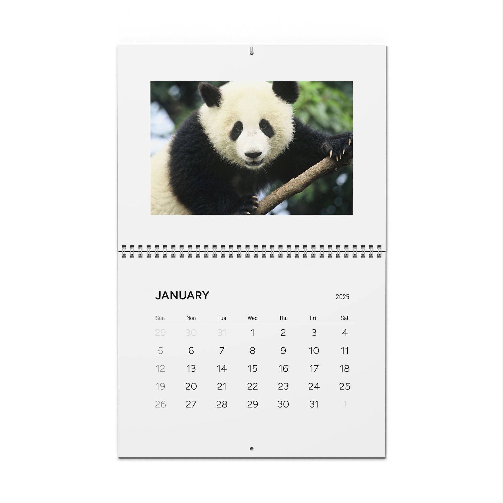 Panda Wall Calendar 2025