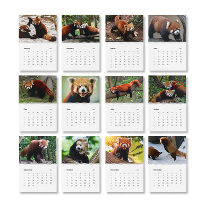 Wall Calendar Red Panda 2025