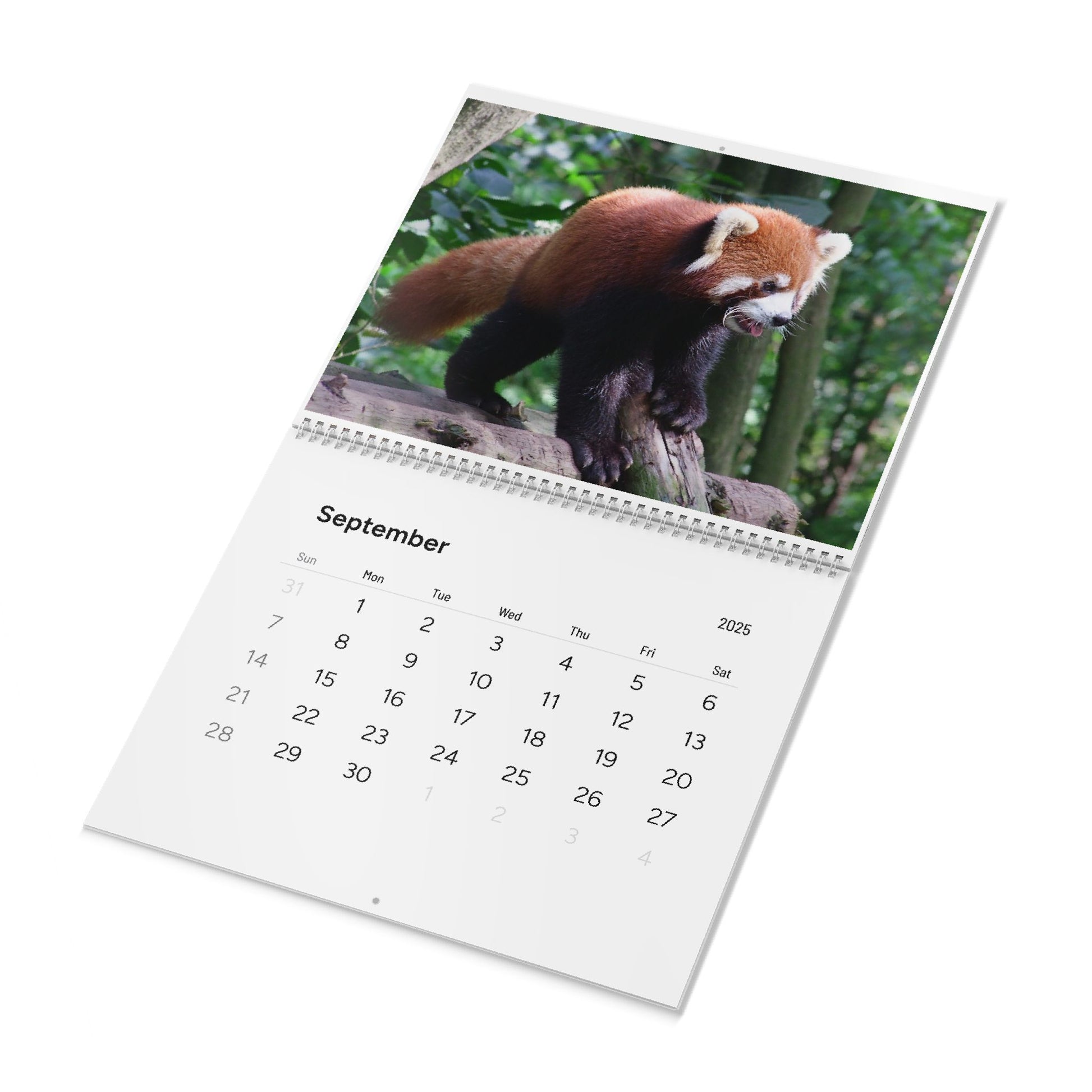 Wall Calendar Red Panda 2025