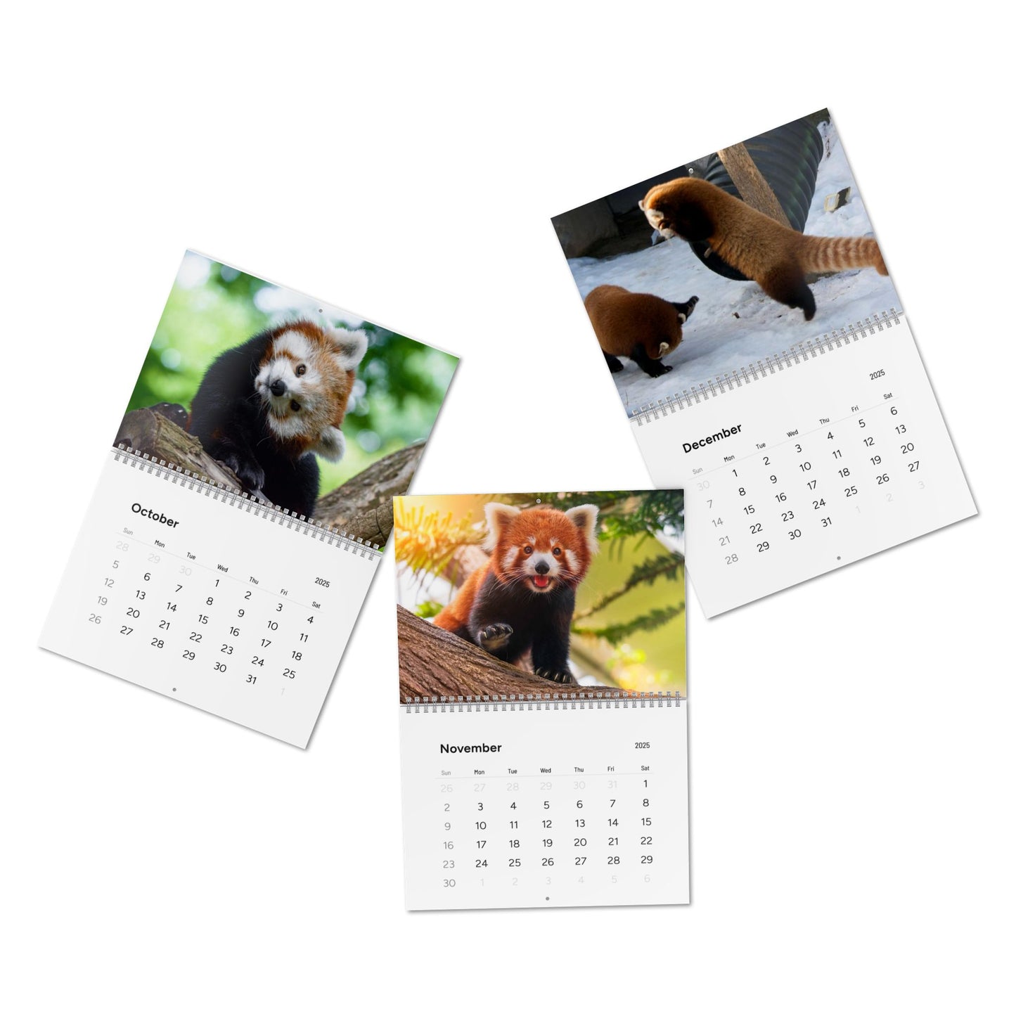 Wall Calendar Red Panda 2025