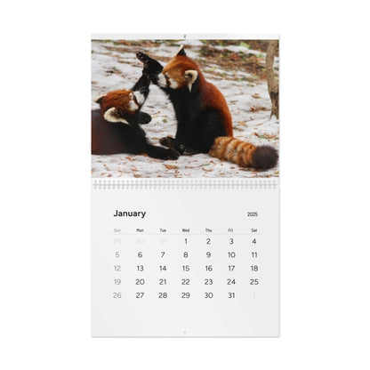 Wall Calendar Red Panda 2025